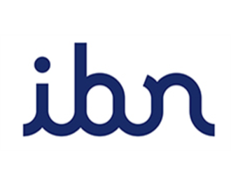 Logo IBN Holding