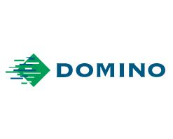 Logo Domino Benelux