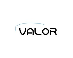 Logo Valor Material Handling